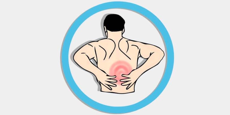 músculos multifidos