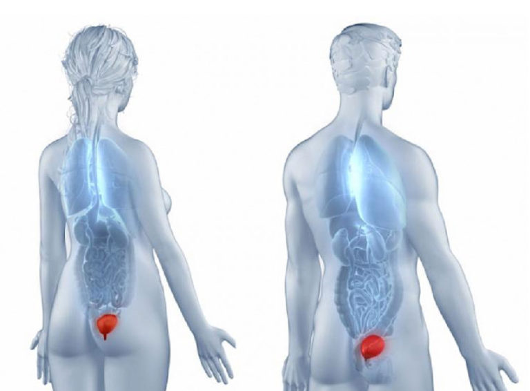 Importancia de fortalecer el suelo pélvico